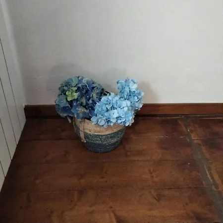 L'ancorotto Azzurro Apartment
